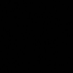 Meet your Posher, Yasmine